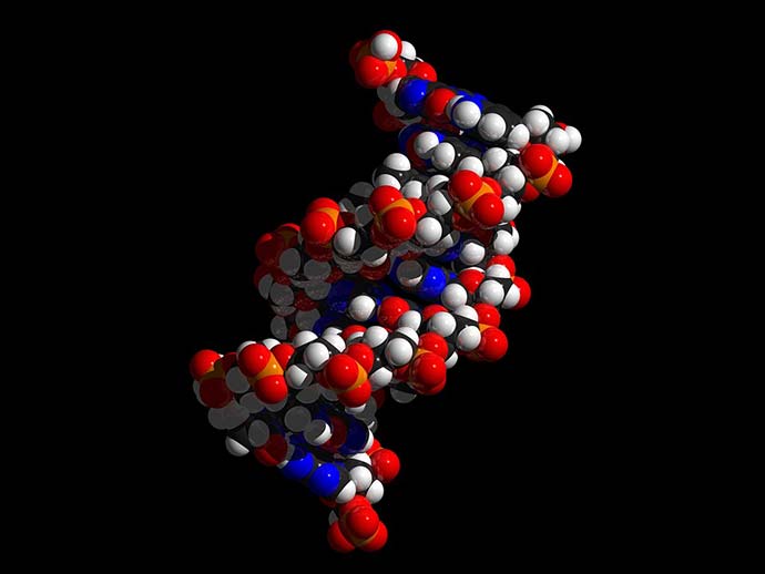 elica dna